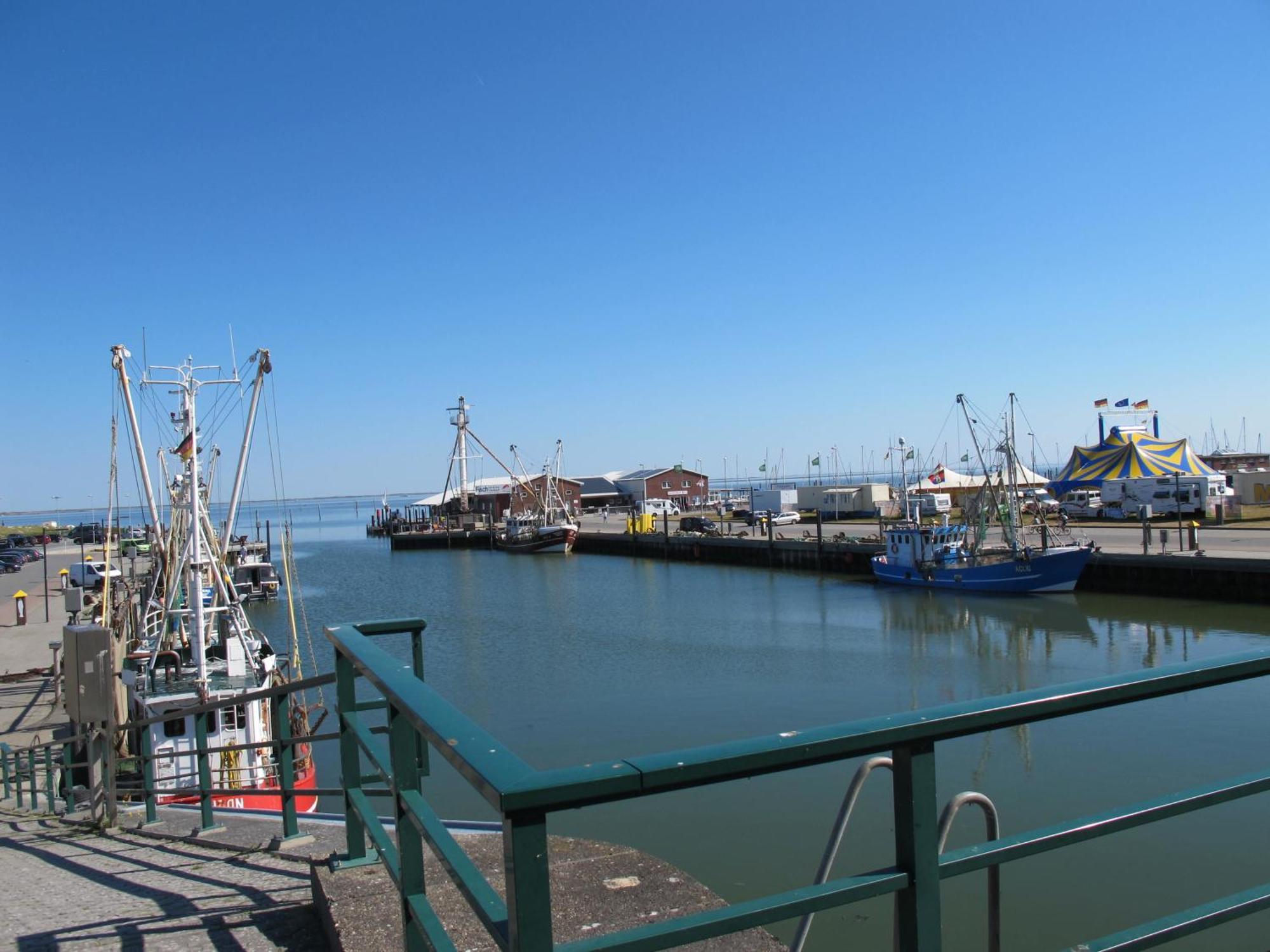 Fewo Abdena Dorn200 Naehe Dornumersiel An Der Nordsee Zewnętrze zdjęcie